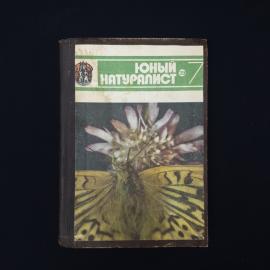 Картинка 1