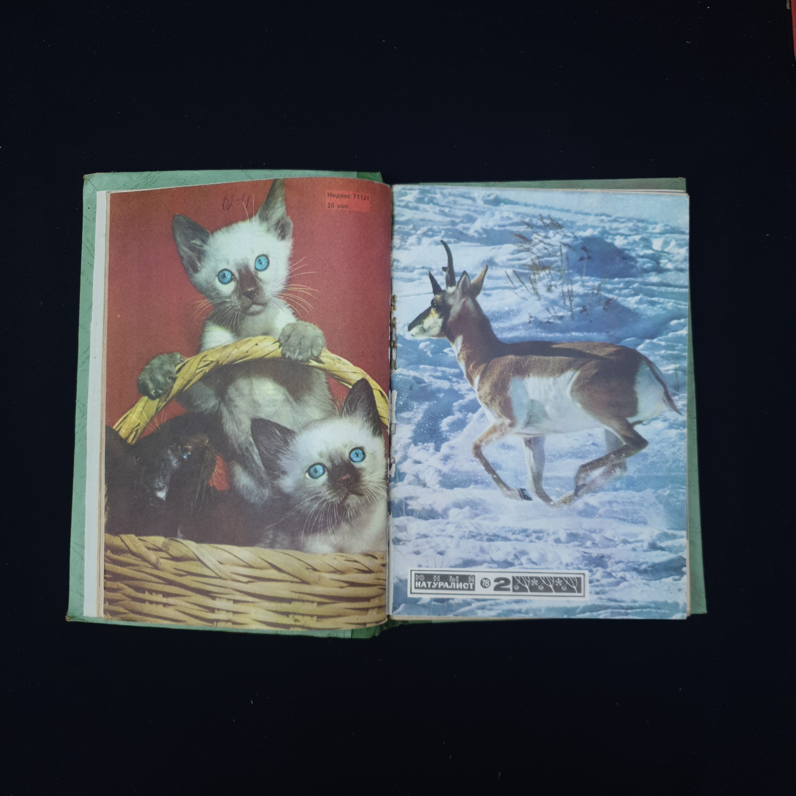 Картинка 4