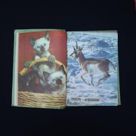 Картинка 4