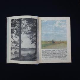 Картинка 3
