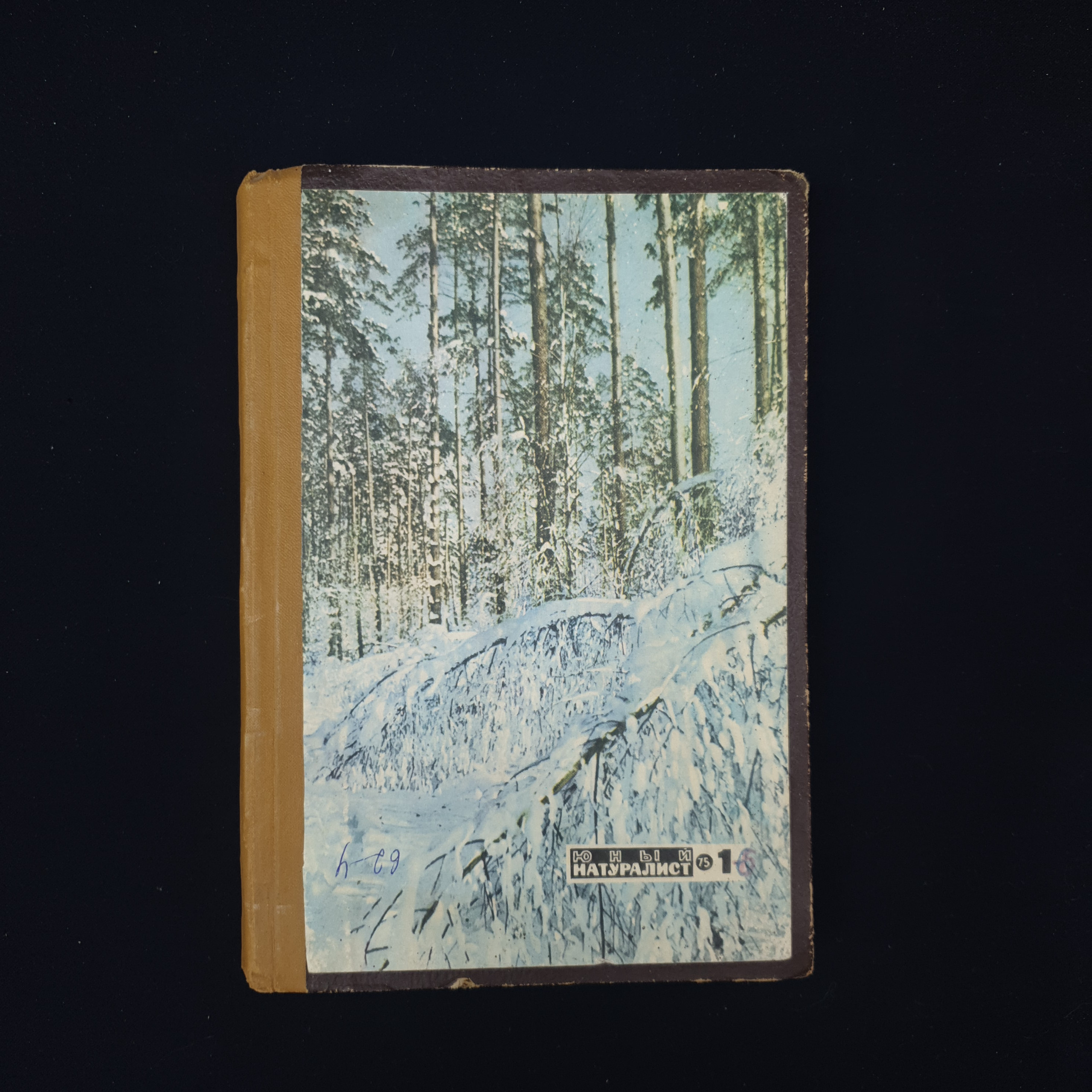 Картинка 1