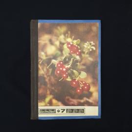 Юный натуралист. Подшивка журналов за 1977 год. Книга СССР, детская литература, публицистика