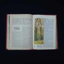 Картинка 4
