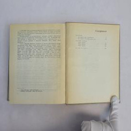 Картинка 4