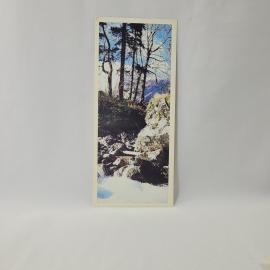 Открытка советская СССР. Верховье Теберды, горный ручей среди камней и леса. винтаж