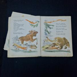 Картинка 4