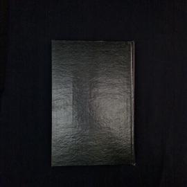 Картинка 2