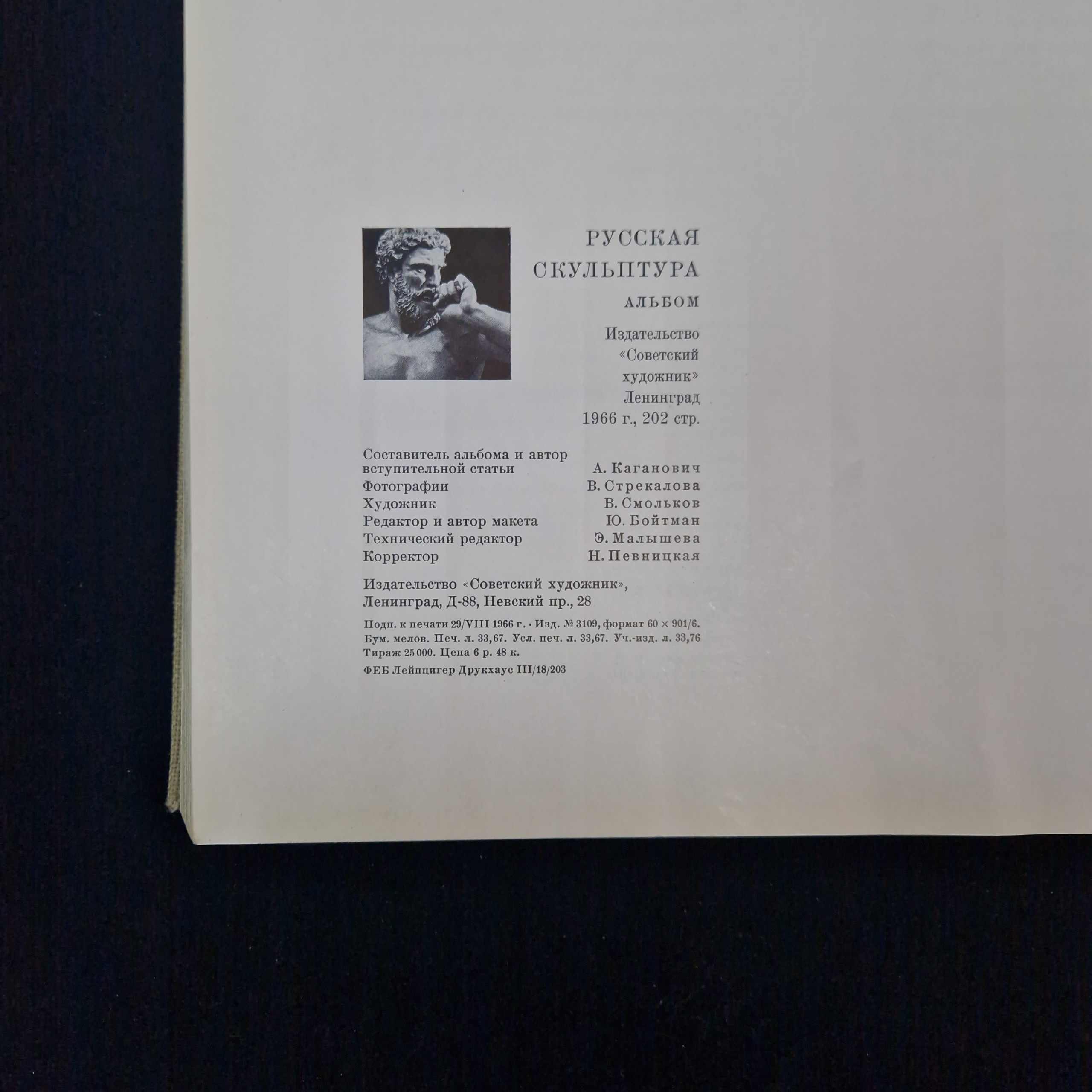 Картинка 5