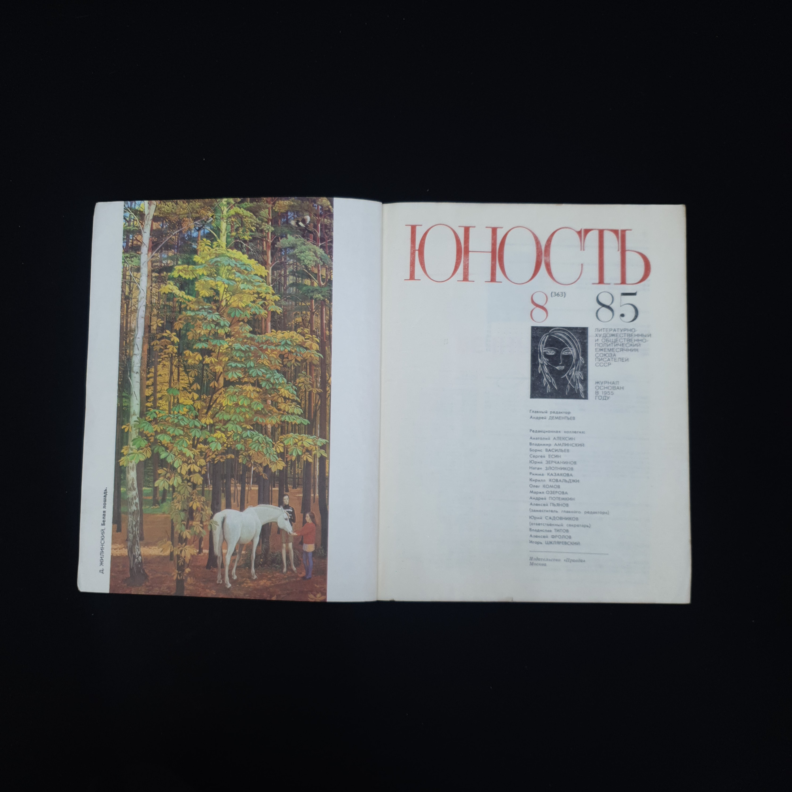 Картинка 3