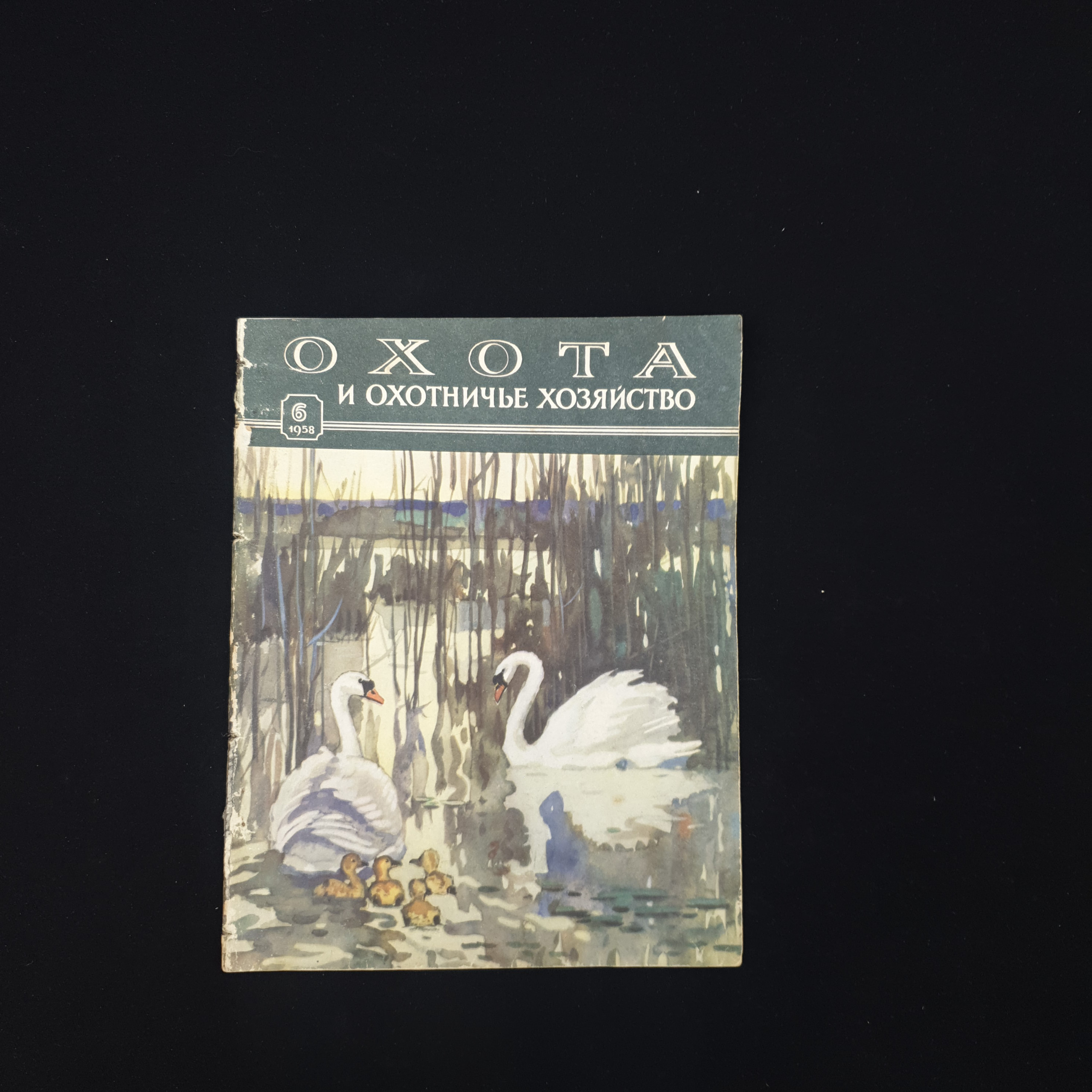 Картинка 1