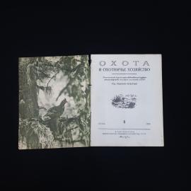 Картинка 3