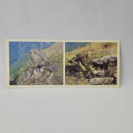 Открытка советская СССР. Лагонакский заповедник, скалы и горный пейзаж. Винтаж