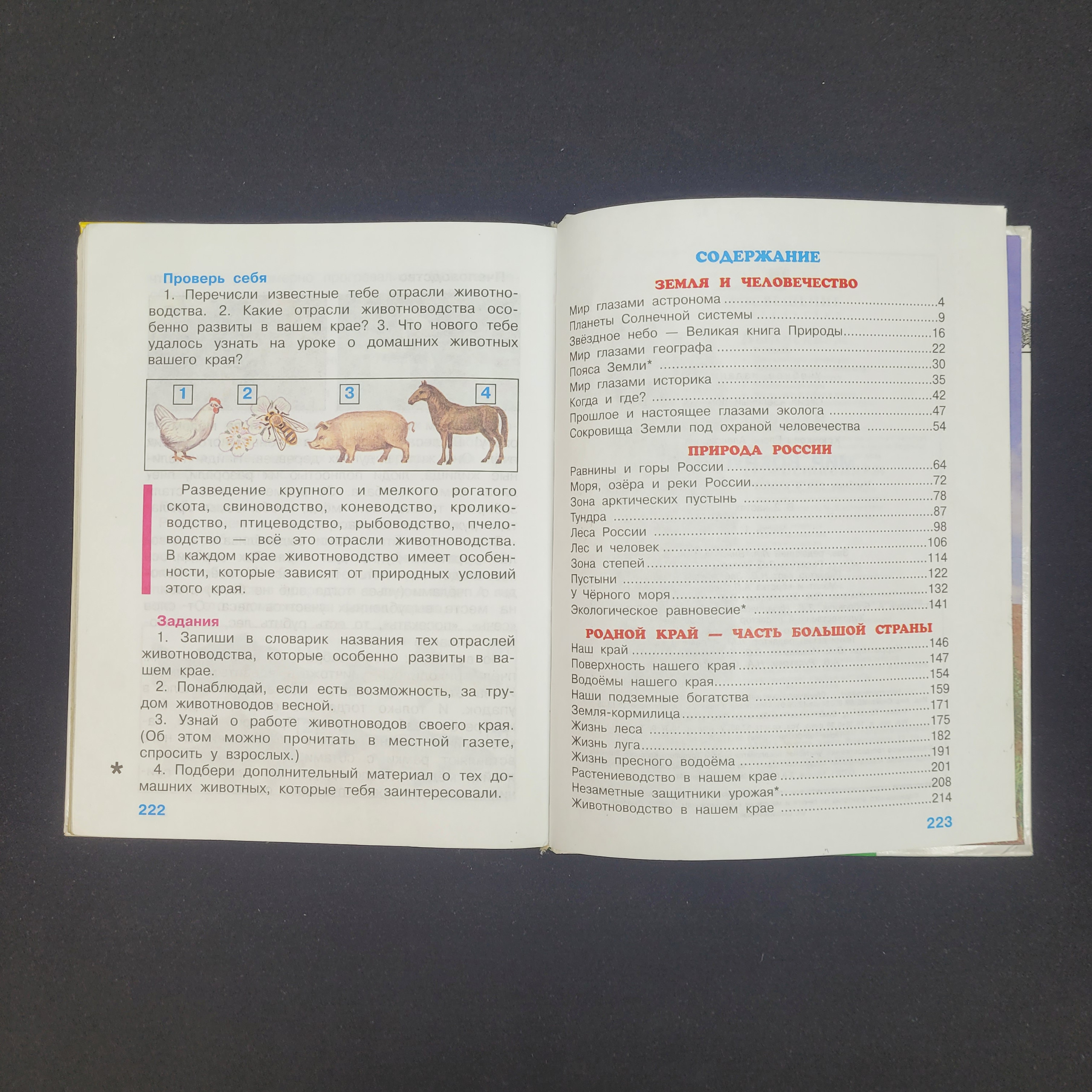 Картинка 4