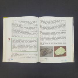 Картинка 3