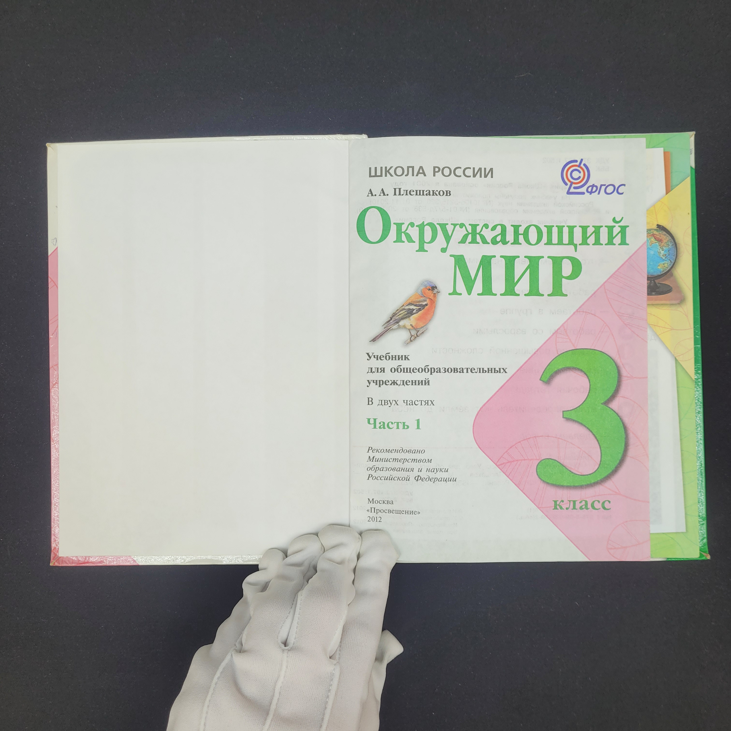 Картинка 2