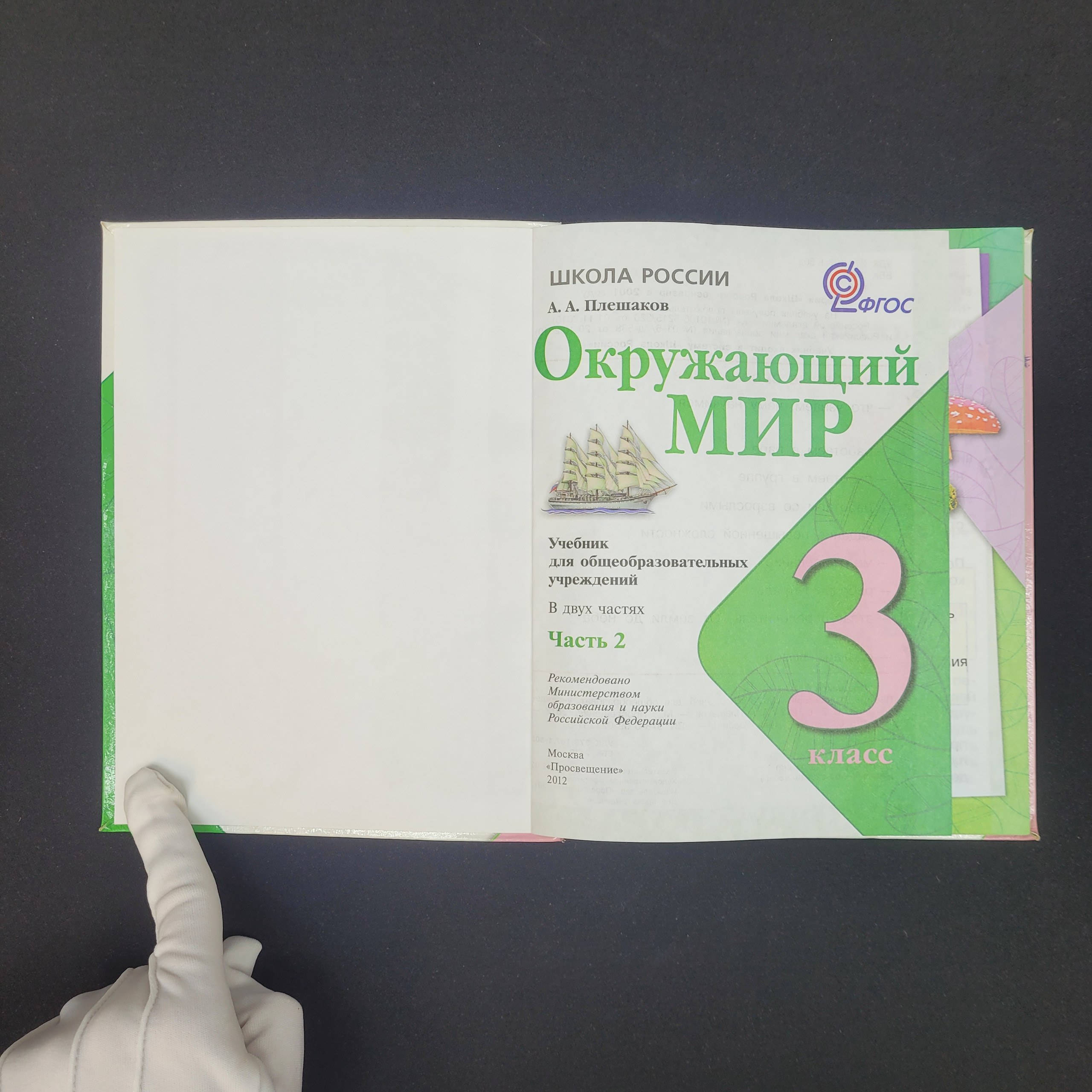 Картинка 2