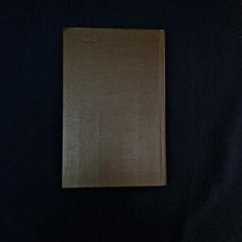 Картинка 2