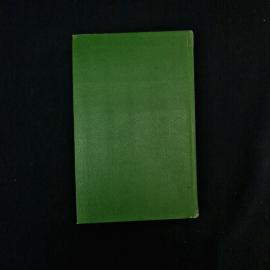 Картинка 2