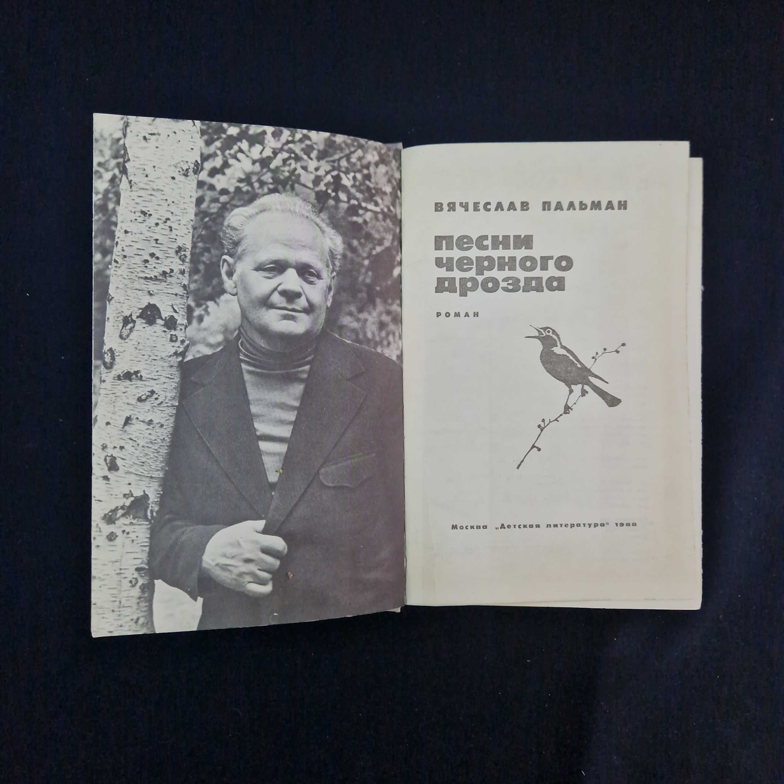 Картинка 3