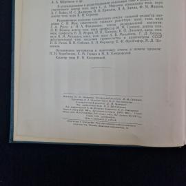 Картинка 4