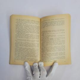 Картинка 3