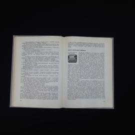 Картинка 6