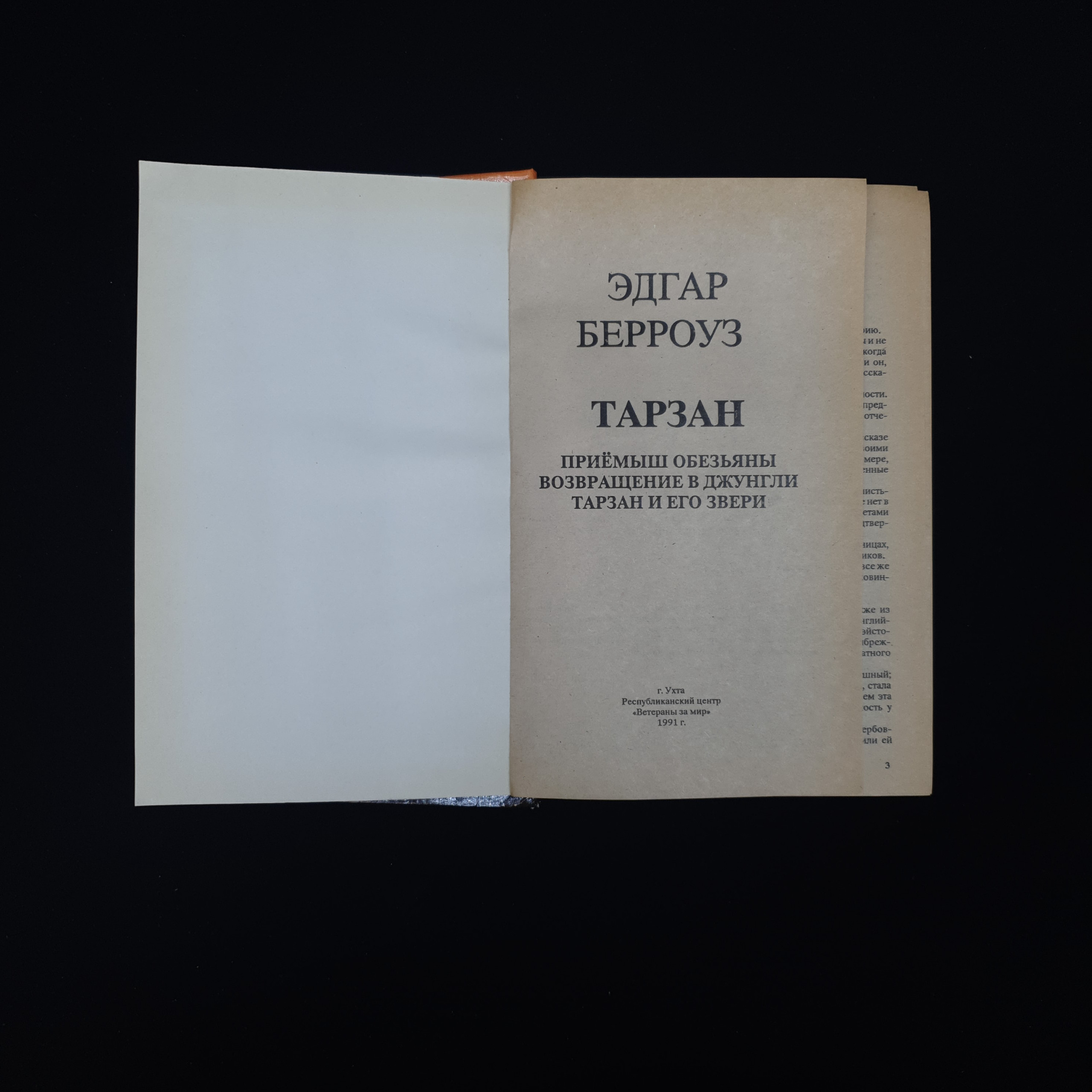 Картинка 4