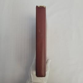 Картинка 6