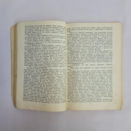 Картинка 3