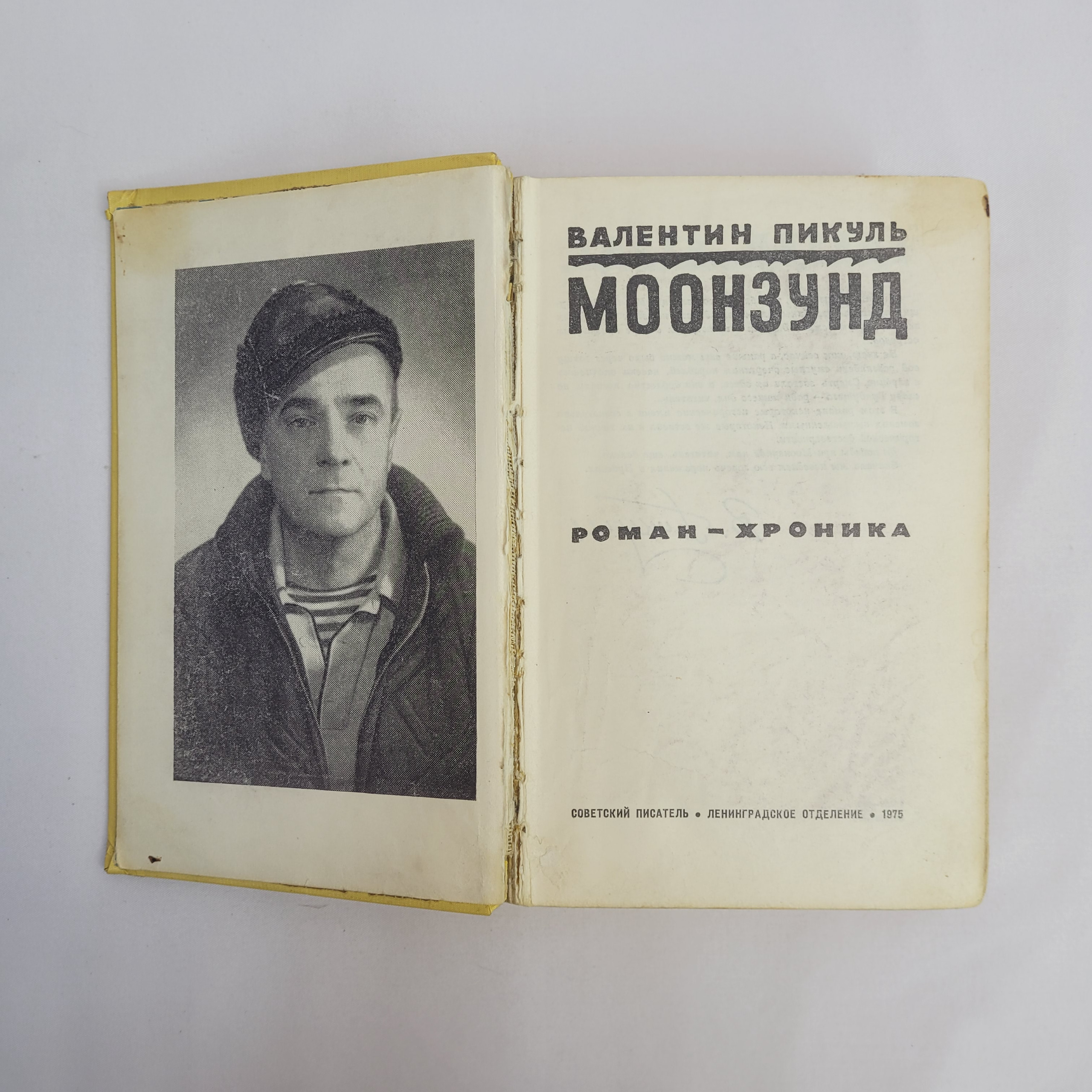 Картинка 2