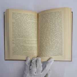 Картинка 3