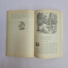 Картинка 3