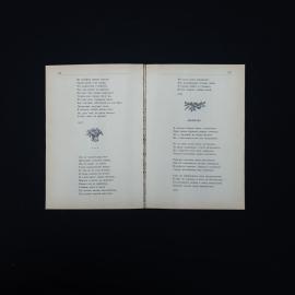 Картинка 6