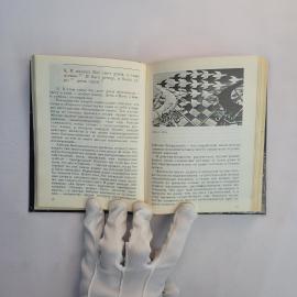 Картинка 3