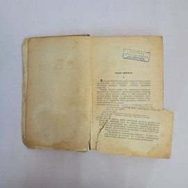 Картинка 3