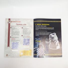 Картинка 5
