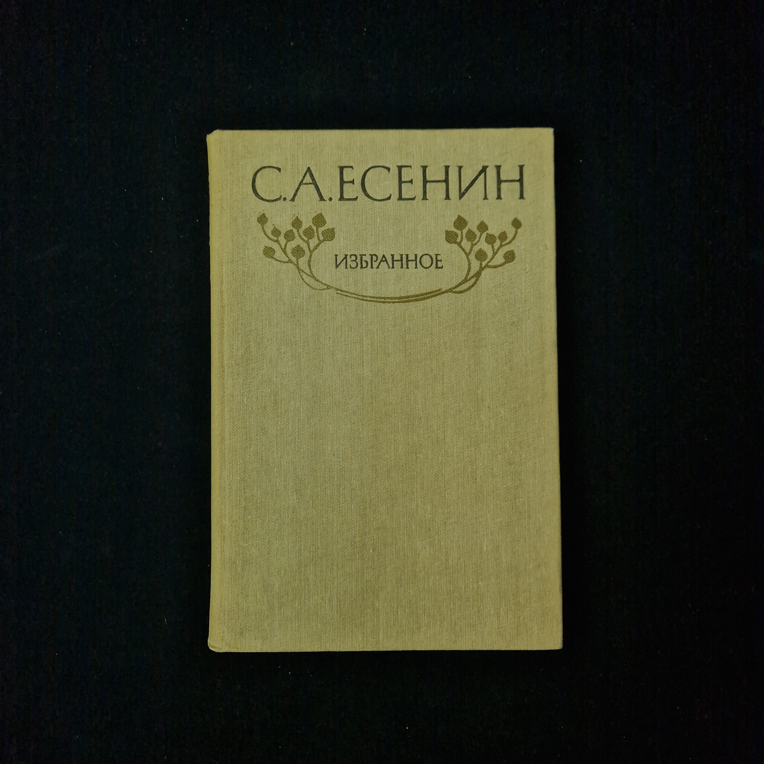 Картинка 1