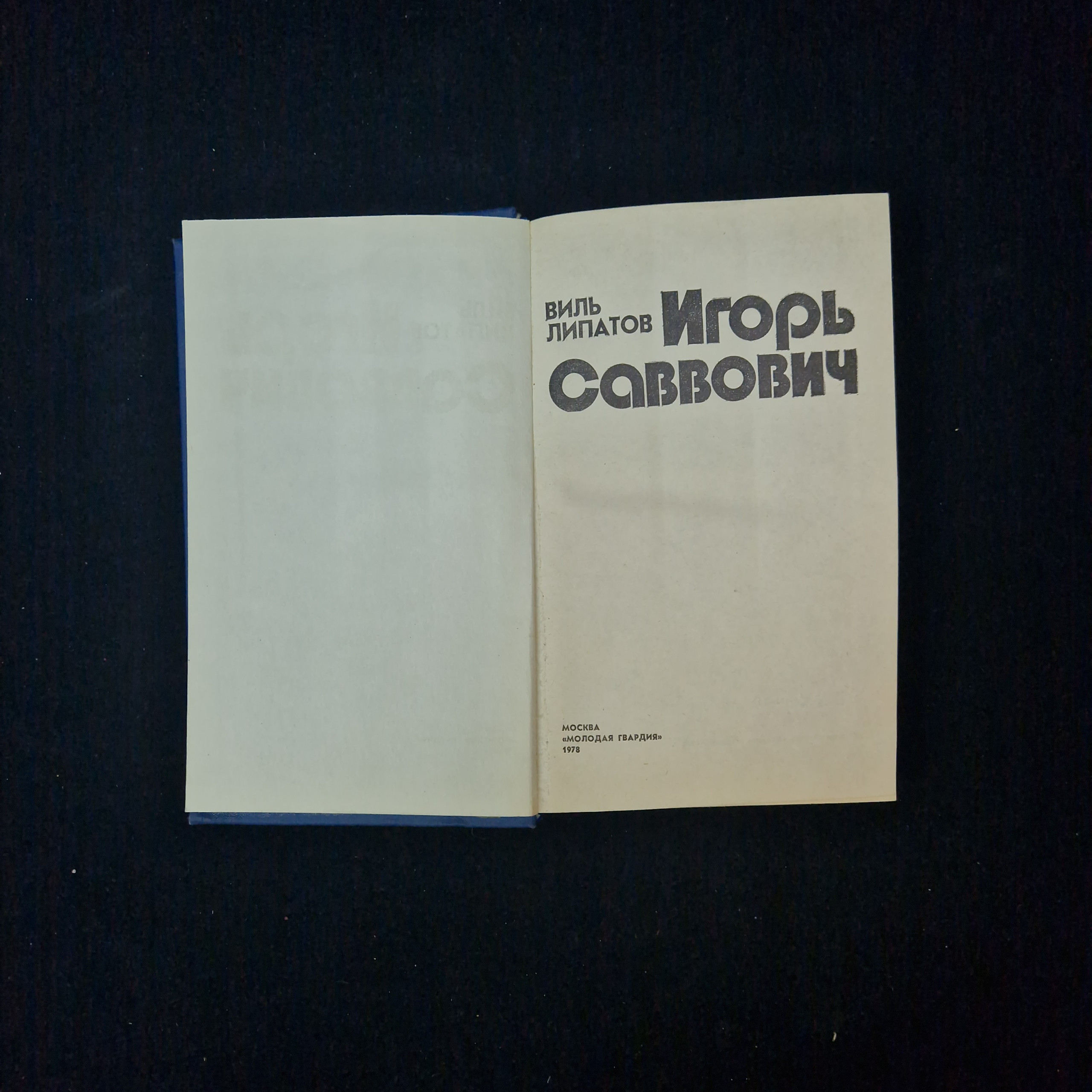 Картинка 3