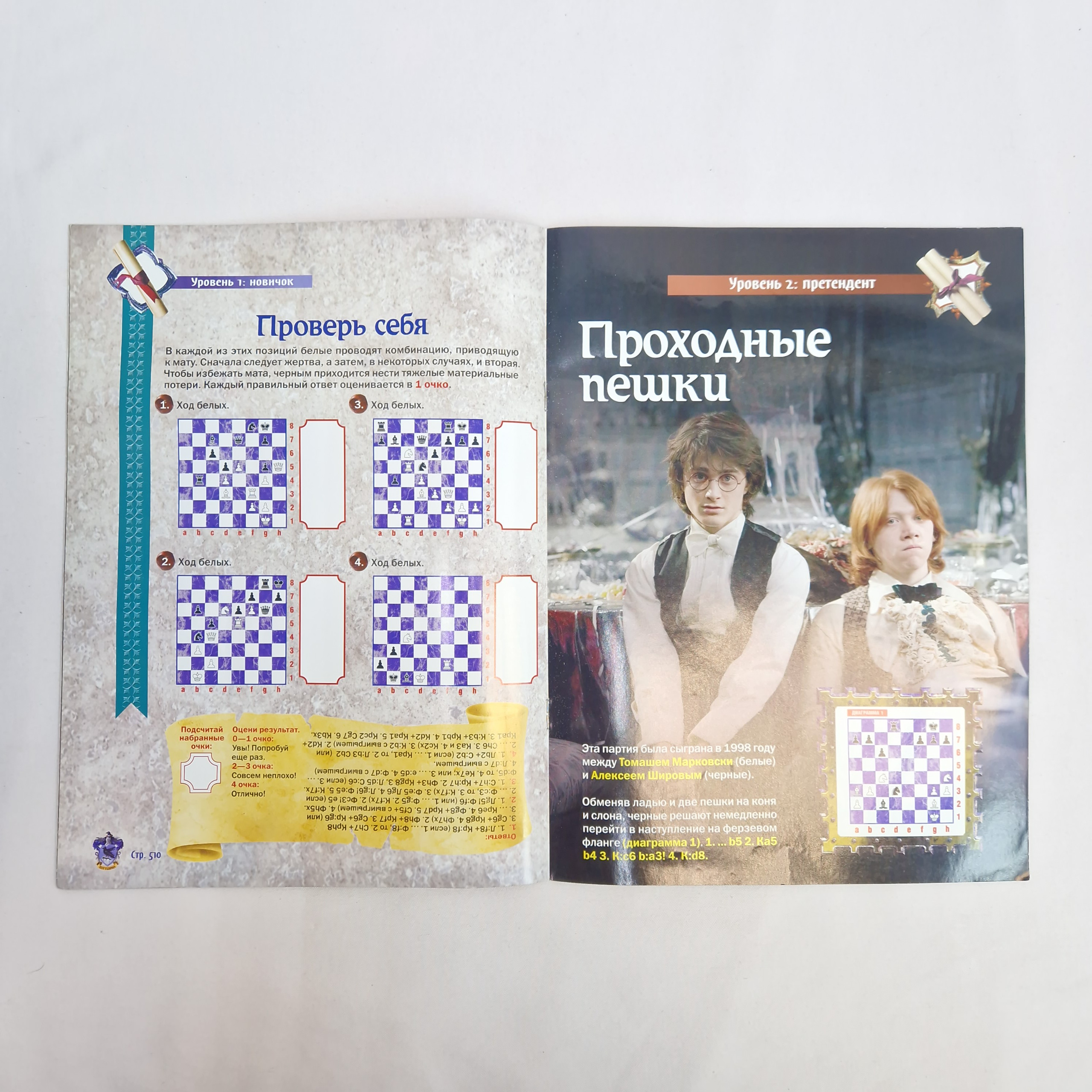 Картинка 4