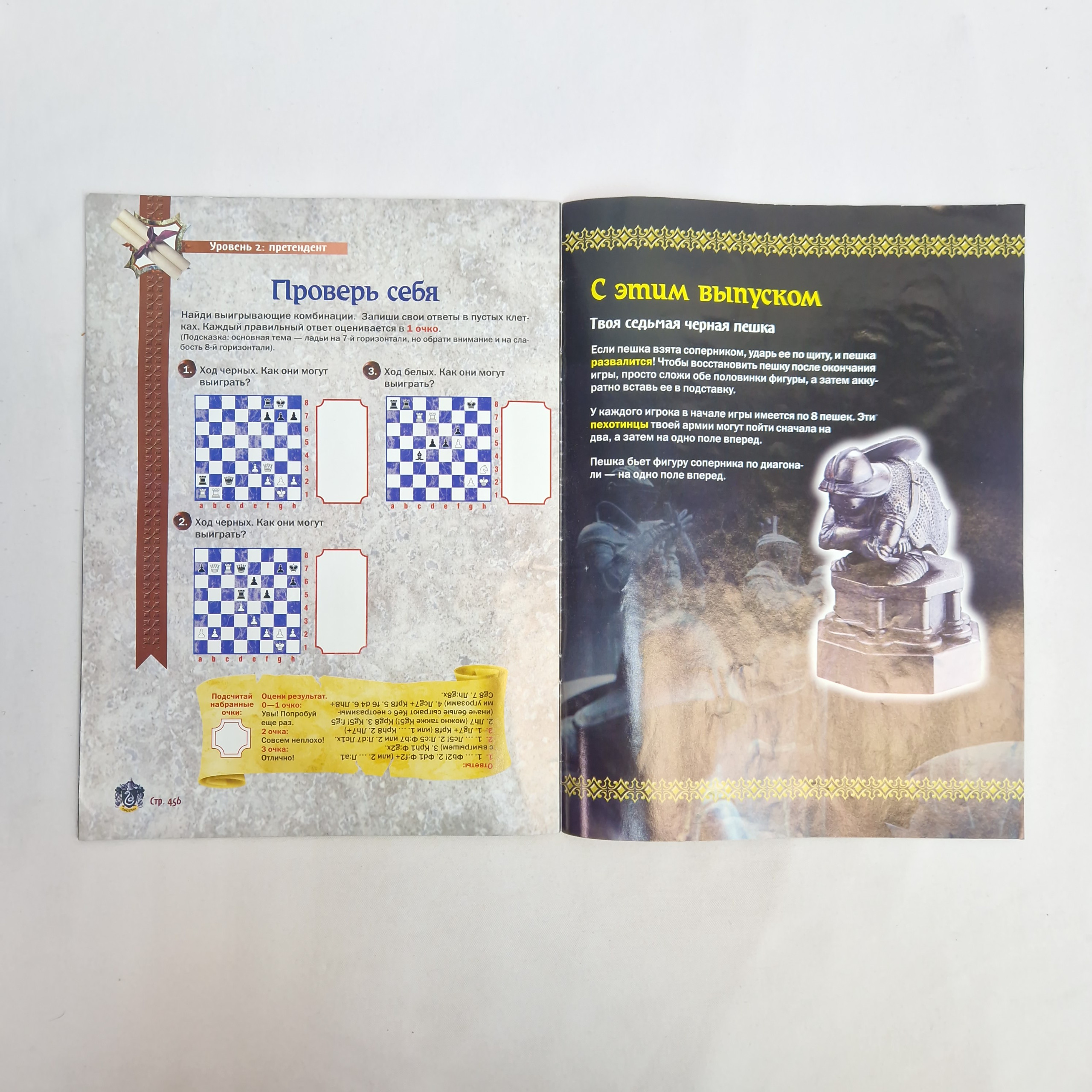 Картинка 5
