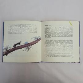 Картинка 3