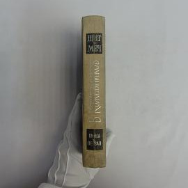Картинка 5