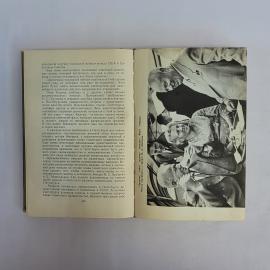 Картинка 3