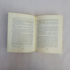 Картинка 3