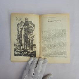 Картинка 3
