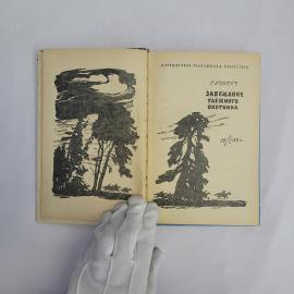 Картинка 2
