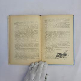 Картинка 3
