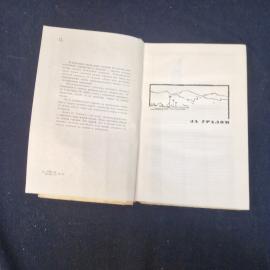 Картинка 5