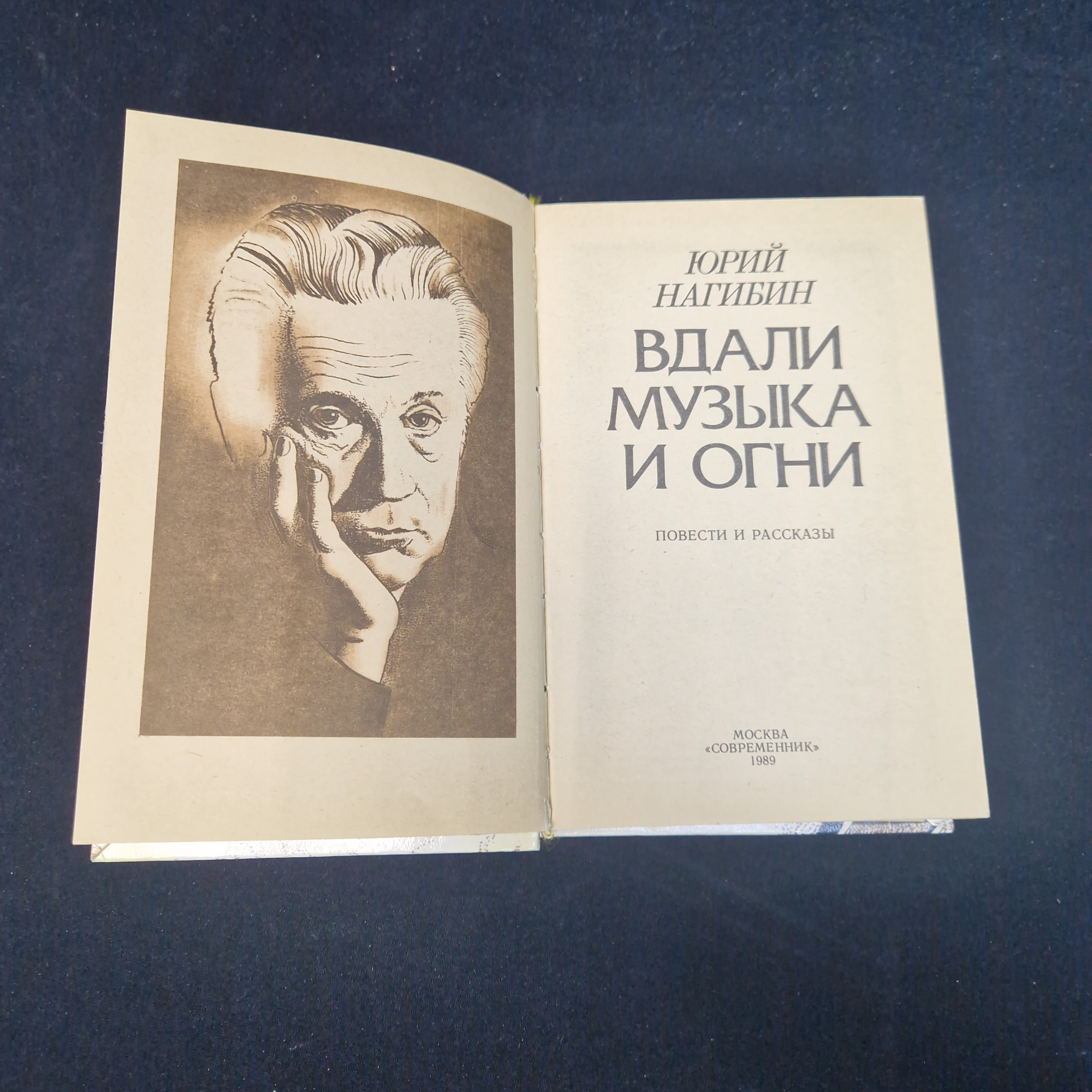 Картинка 4