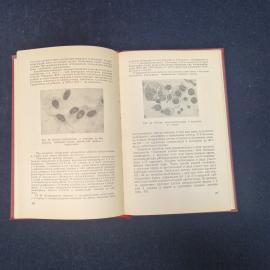 Картинка 6